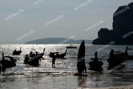 The Hat Railay Leh Beach at Railay near Ao Nang outside of the City of Krabi on the Andaman Sea in the south of Thailand. 