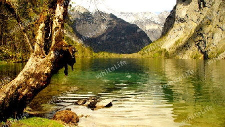 K?nigssee.Obersee.16