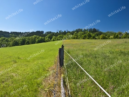 Weidezaun mit Stacheldraht