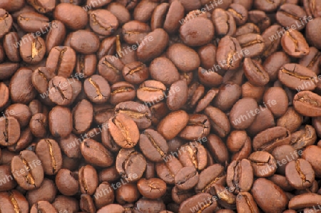Coffee Bean Background 1