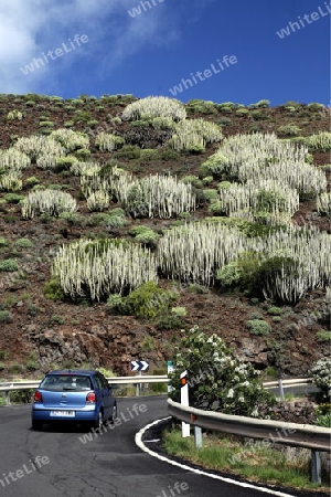 The landscape near the Village of  Temisas on the Canary Island of Spain in the Atlantic ocean.