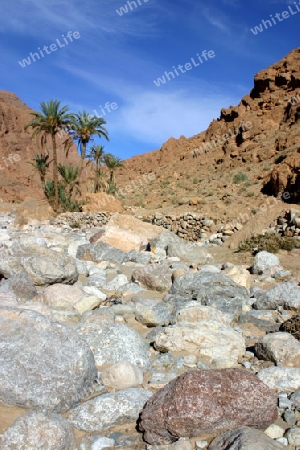 Todra gorges