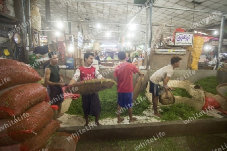 chili in a a fegetable market in a Market near the City of Yangon in Myanmar in Southeastasia.