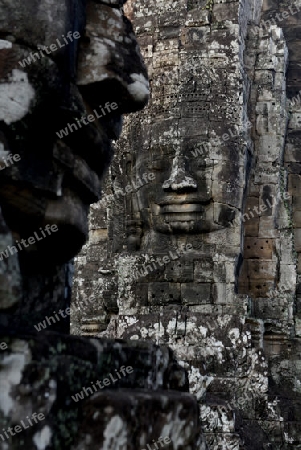 Stone Faces the Tempel Ruin of Angkor Thom in the Temple City of Angkor near the City of Siem Riep in the west of Cambodia.