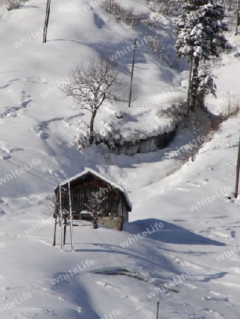 Kleiner Stall am Hang im Schnee