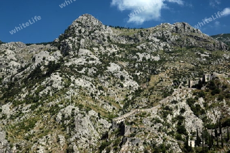 Die Berglandschaft mit der Stadtmauer von Kotor  in der inneren Bucht von Kotor am Mittelmeer  in Montenegro in Europa.   