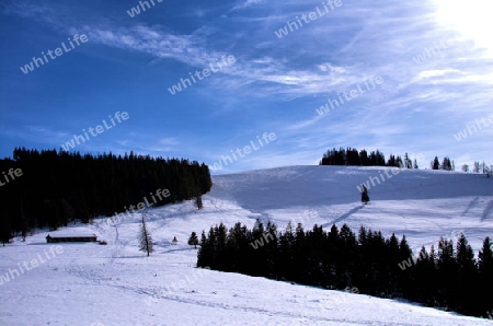 Winter im Schwarzwald