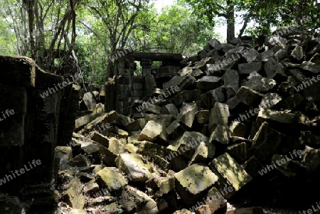 The Tempel Ruin of  Beng Mealea 32 Km north of in the Temple City of Angkor near the City of Siem Riep in the west of Cambodia.