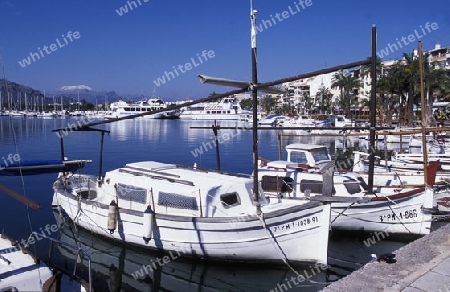 Das Fischerdorf Port de Alcudia mit dem Bootshafen im Februar im Osten der Insel Mallorca einer der Balearen Inseln im Mittelmeer.    