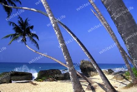 Asien, Indischer Ozean, Sri Lanka,
Ein Traumstrand beim Kuestendorf Hikkaduwa an der Suedwestkueste von Sri Lanka. (URS FLUEELER)






