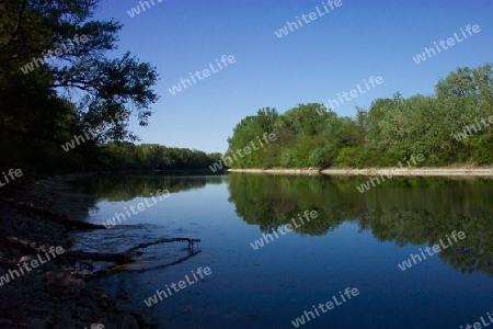 lobau