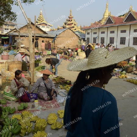 the market at the Village of Phaung Daw Oo at the Inle Lake in the Shan State in the east of Myanmar in Southeastasia.