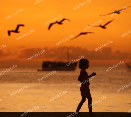 Suedamerika, Karibik, Venezuela, Los Roques, Insel, Atoll, Archipfel, Klima, Meer, Wetter, Reef, Dorfstrand, Dorfinsel, Fischerboot, Hafen, Abend, Strand, Beach, Sonnenuntergang, Kind, Voegel, Palikan, Stimmung,