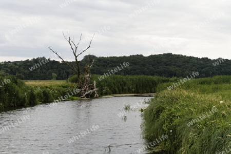 Nationalpark Unteres Odertal