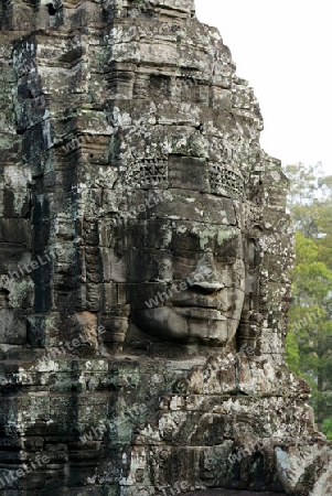 Stone Faces the Tempel Ruin of Angkor Thom in the Temple City of Angkor near the City of Siem Riep in the west of Cambodia.