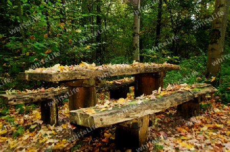 Rastplatz im Wald