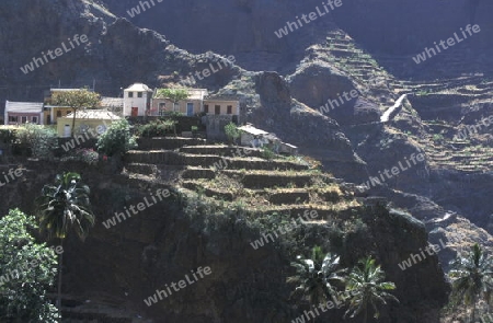 the  Village of Fontainas near  Ribeira Grande on the Island of Santo Antao in Cape Berde in the Atlantic Ocean in Africa.