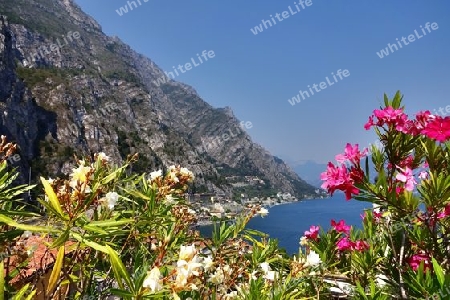 Limone am Gardasee