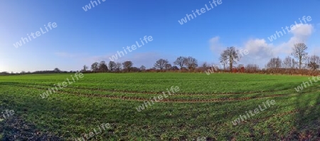 Beautiful high resolution panorama of a northern european country landscape with fields and green grass.