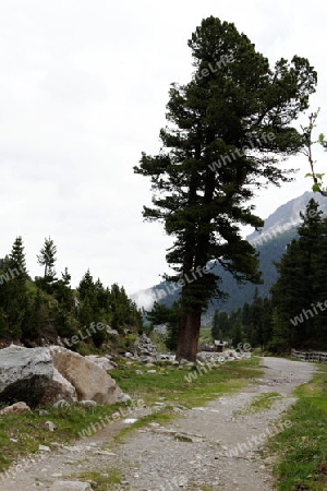 Zum Pfitscherjoch, Zillertal, Oesterreich