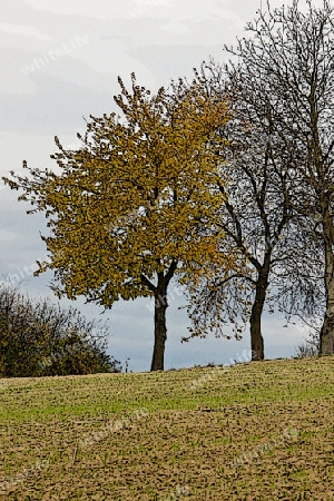 Herbststimmung