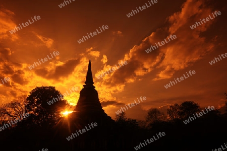 Der Wat Chang Lom im Si Satchanalai-Chaliang Historical Park rund 50 Km von Sukhothai in der Provinz Sukhothai im Norden von Thailand in Suedostasien.