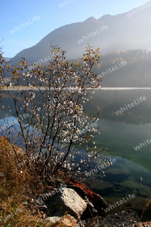 Herbsstimmung am Champfersee