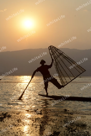 Fishermen at sunset in the Landscape on the Inle Lake in the Shan State in the east of Myanmar in Southeastasia.