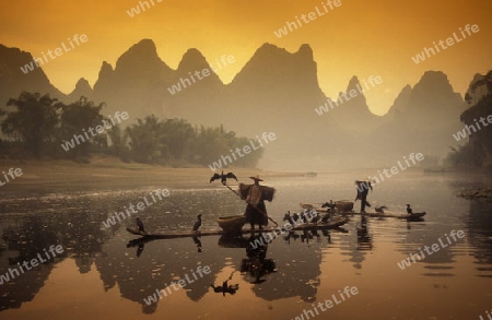 the landscape at the Li River near Yangshou near the city of  Guilin in the Province of Guangxi in china in east asia. 