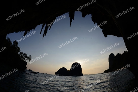 The Hat Phra Nang Beach at Railay near Ao Nang outside of the City of Krabi on the Andaman Sea in the south of Thailand. 