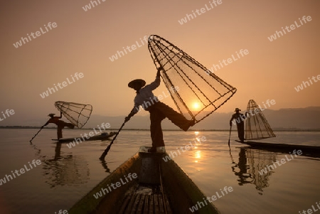 Fishermen at sunrise in the Landscape on the Inle Lake in the Shan State in the east of Myanmar in Southeastasia.