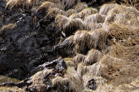 Felslandschaft