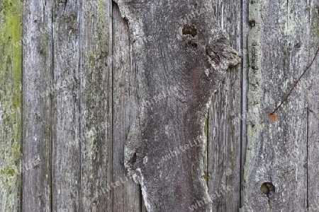 Detailed close up view on different wood surfaces showing planks logs and wooden walls in high resolution