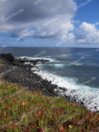 Mosteiros Sao Miguel