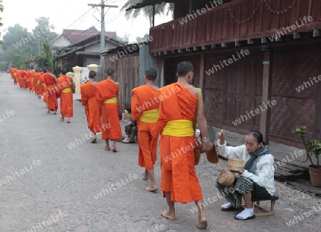 Moenche am fruehen Morgen beim einsammeln von Reis in der Altstadt von Luang Prabang in Zentrallaos von Laos in Suedostasien. 