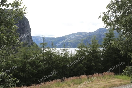 Blick auf den Fjord