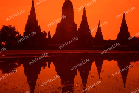 The Wat Chai Wattanaram Temple in City of Ayutthaya in the north of Bangkok in Thailand, Southeastasia.