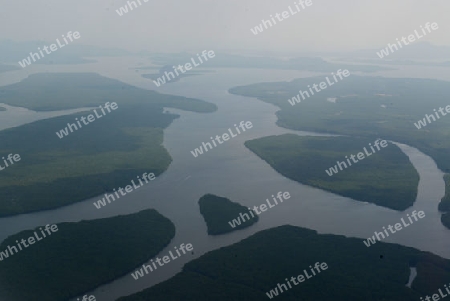 The Rivers  with the mangroves outside of the City of Krabi on the Andaman Sea in the south of Thailand. 