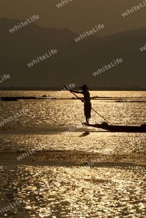 Fishermen at sunset in the Landscape on the Inle Lake in the Shan State in the east of Myanmar in Southeastasia.