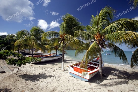 Suedamerika, Karibik, Venezuela, Isla Margarita, Pedro Gonzalez, Playa Pedro Gonzalez, Beach, Strand, Bucht, Fischerdorf, Fischerboot, Holzboot, Palmen, Ferien, Traumstrand, Idylle, Landschaft