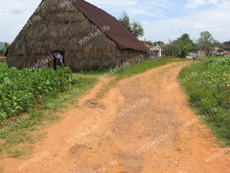 Kuba, Tabakscheune in Vinales bei Pinar del Rio