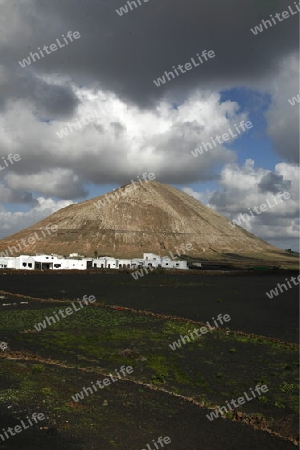 The  Vulkan National Park Timanfaya on the Island of Lanzarote on the Canary Islands of Spain in the Atlantic Ocean. on the Island of Lanzarote on the Canary Islands of Spain in the Atlantic Ocean.
