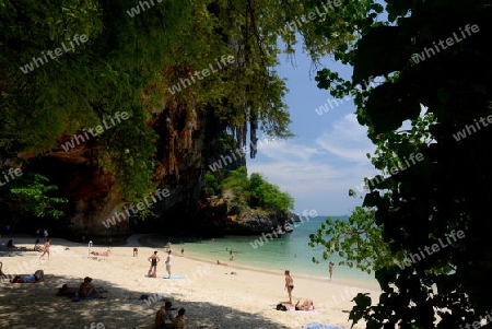 The Hat Phra Nang Beach at Railay near Ao Nang outside of the City of Krabi on the Andaman Sea in the south of Thailand. 