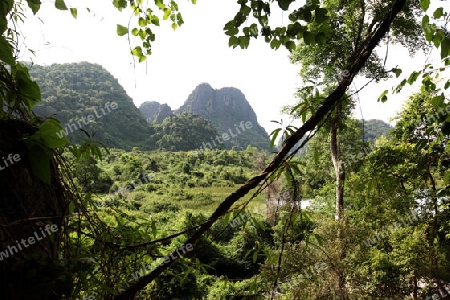 Die Landschaft rund um die Buddha Hoehle oder Buddha Cave (Innen ist Fotografieren verboten) von Tham Pa Fa unweit der Stadt Tha Khaek in zentral Laos an der Grenze zu Thailand in Suedostasien.