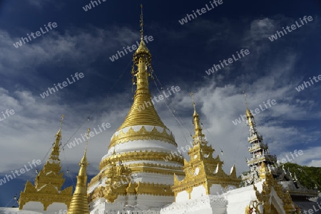 Der Tempel Wat Jong Kham und Jong Klang am See Nong Jong Kham im Dorf Mae Hong Son im norden von Thailand in Suedostasien.