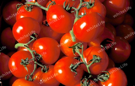 Tomaten