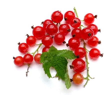 Johannisbeeren