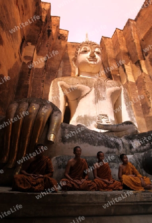 Moenche bestaunen die Buddha Figur  im Wat Si Chum Tempel in der Tempelanlage von Alt-Sukhothai in der Provinz Sukhothai im Norden von Thailand in Suedostasien.