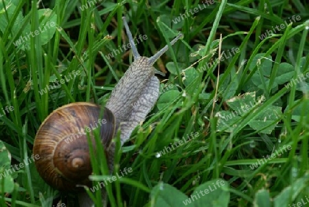 Gem?tliche Wanderung