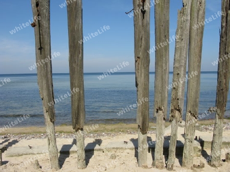 Alte Holzpfähle am Strand